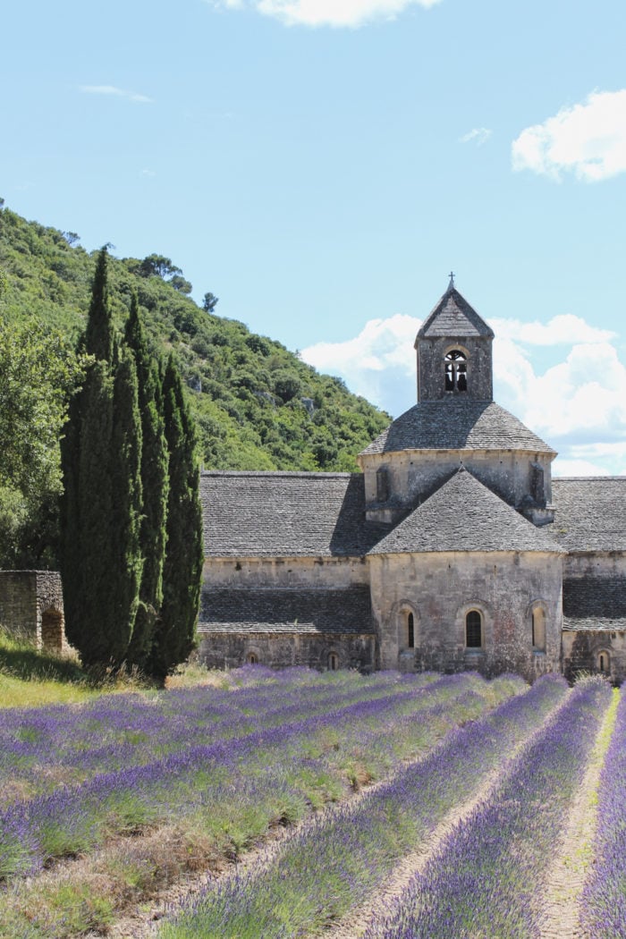 Lavender Fields in Provence