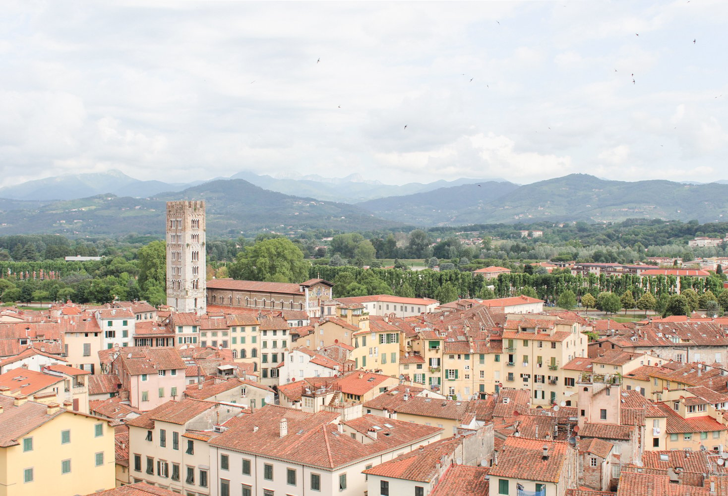 Travel Guide to Lucca