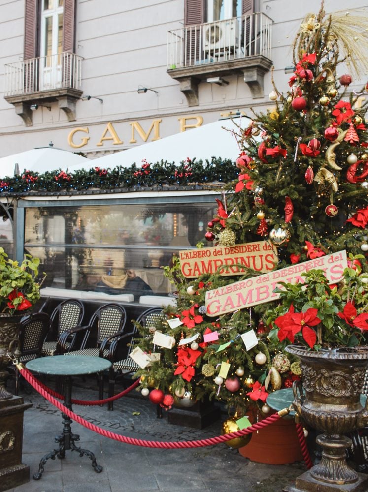 Gambrinus at Christmas | Naples, Italy