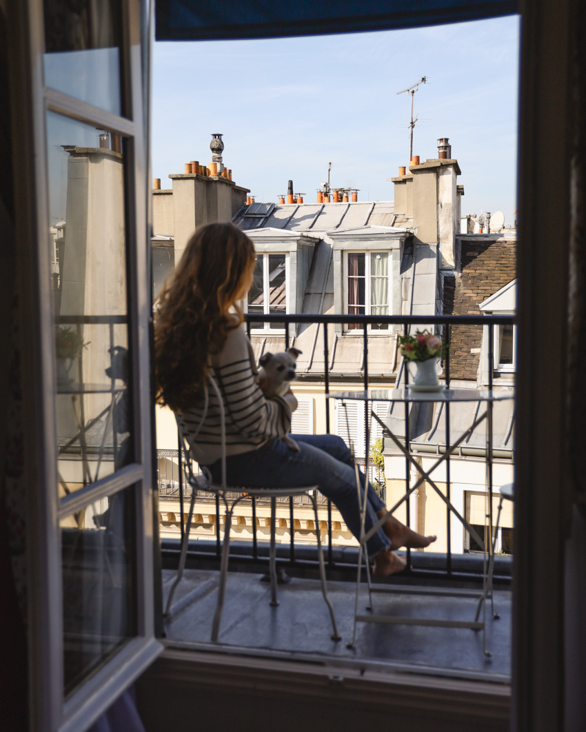Dog sitting on balcony in Paris 