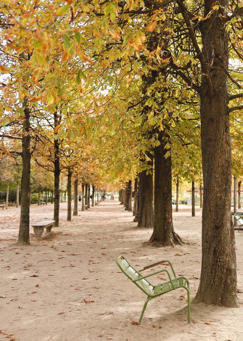 A Guide to Visiting Paris in the Fall