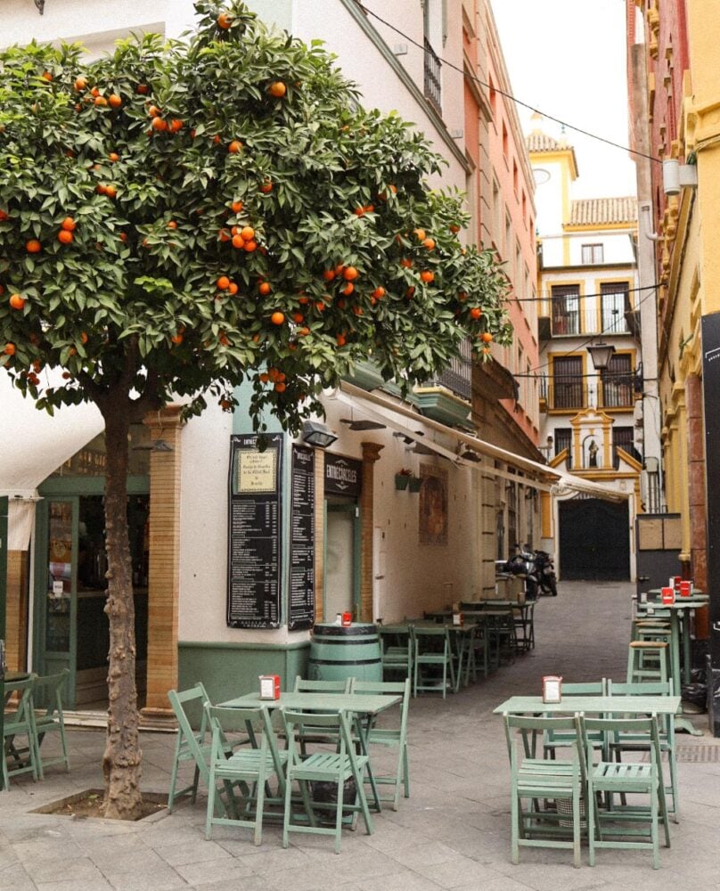City of Oranges & Tiles: Seville Travel Guide